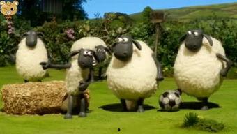 小羊爆料最新视频大全,最新视频大全精彩瞬间大盘点  第1张